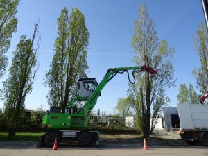 Abattage_mecanique-11