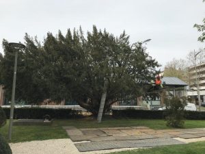 Création-04