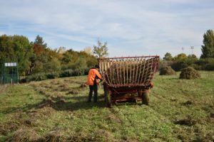 Fauchage-026