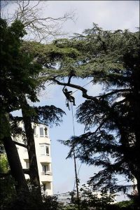 Port-libre-3