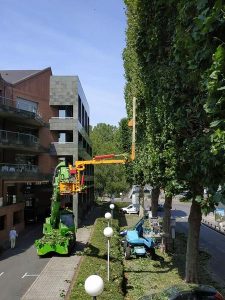 Taille-architecture-1