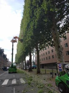 Taille-architecture-2