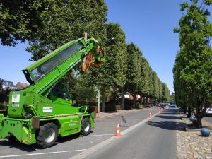 Taille-architecture-7